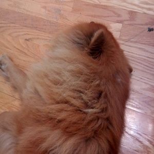 Meet your Posher, Coby